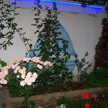 Kusadasi Guest House Pensiune Kusadası