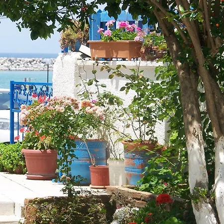 Pensiune Kusadasi Guest House 2*