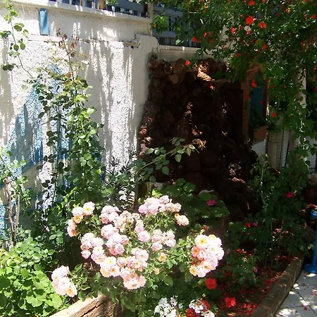 בית הארחה Kusadasi Guest House 2*