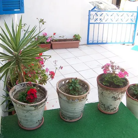 Kusadasi Guest House Penzion 2*