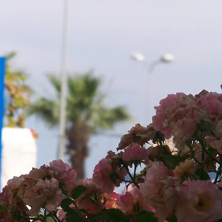 Kusadasi Guest House Penzion Kusadası